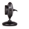 Уеб камера A4Tech PK-710G