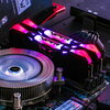 RAM Patriot Viper RGB Black 16GB (2 x 8GB) Kit DDR4-3600