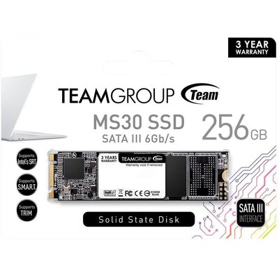 SSD Team MS30 256GB M.2