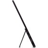 Монитор Acer PM161QB1bmiuux, 15.6'' IPS, FHD (1920x1080), Portable, AdaptiveSync, 60Hz, 4ms (GTG), 100M:1, 250 nits, 1x HDMI 1.4