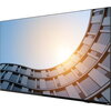 Монитор Lenovo ThinkVision E65 LFD - 65" 4К UHD IPS