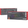 Клавиатура Genesis Mechanical Gaming Keyboard Thor 404 Black RGB Backlight Outemu Peach Silent, US Layout