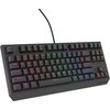 Клавиатура Genesis Gaming Keyboard Thor 230 TKL Lite US Rainbow Mechanical Outemu Red Black Hot Swap