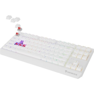 Клавиатура Genesis Gaming Keyboard Thor 230 TKL Wireless US White RGB Mechanical Outemu Red