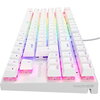 Клавиатура Genesis Mechanical Gaming Keyboard Thor 303 TKL RGB, Silent