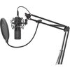 Микрофон Genesis Microphone Radium 400 Studio USB