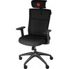 Стол Genesis Ergonomic Chair Astat 200 Black