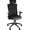 Стол Genesis Ergonomic Chair Astat 200 Black