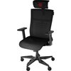 Стол Genesis Ergonomic Chair Astat 700 Black