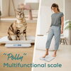 Везна Beurer PP 170 Polly Multifunctional pet scale;Detailed graduation (10 g to 5 kg, 50 g to 50 kg, 100 g to 180 kg);Easy-to-r Везна Beurer PP 170 Polly Multifunctional pet scale;Detailed graduation (10 g to 5 kg, 50 g to 50 kg, 100 g to 180 kg);Easy-to-r
