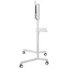 Стойка Neomounts by Newstar Mobile Flat Screen Floor Stand (height: 160 cm)