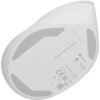 Мишка Natec Vertical Mouse Crake 2 Wireless, 2400DPI Bluetooth 5.2 + 2.4 GHz White