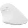 Мишка Natec Vertical Mouse Crake 2 Wireless, 2400DPI Bluetooth 5.2 + 2.4 GHz White