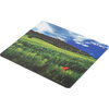 Подложка за мишка Natec Mouse Pad Photo Italy 220 x 180 mm