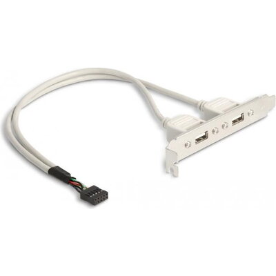 Скоба Delock, За монтаж в PC, USB 10 pin към 2 x USB 2.0 type A