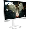 Монитор BenQ EW3290U