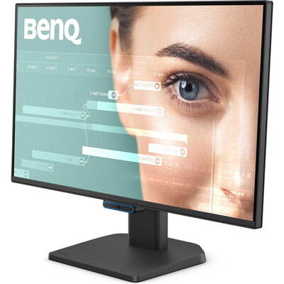 Монитор BenQ GW2490C, 24", IPS, 1920x1080, 100Hz, 99% sRGB, HDMI, DisplayPort, Speakers