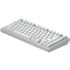 Геймърскa безжична клавиатура Dark Project ALU81A Terra Nova R2 White RGB