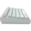 Геймърскa безжична клавиатура Dark Project ALU81A Terra Nova R2 White RGB