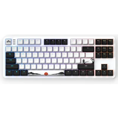 Геймърскa механична клавиатура Dark Project 87 Fuji V2 RGB TKL - G3MS Sapphire Switches, ABS