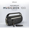 Тонколони HiFuture MusicBox100 Black, 20W Output, Karaoke Enable, Two Wireless Microphone, 4000mAh Battery (Support Power Bank),