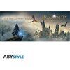 Чаша ABYSTYLE HARRY POTTER, Hogwarts Legacy Castle, 320 ml, Многоцветна