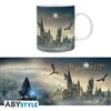 Чаша ABYSTYLE HARRY POTTER, Hogwarts Legacy Castle, 320 ml, Многоцветна