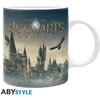 Чаша ABYSTYLE HARRY POTTER, Hogwarts Legacy Castle, 320 ml, Многоцветна