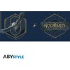 Чаша ABYSTYLE HARRY POTTER, Hogwarts Legacy Logo, 320 ml, Многоцветна