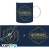 Чаша ABYSTYLE HARRY POTTER, Hogwarts Legacy Logo, 320 ml, Многоцветна