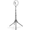 HAMA LED Лампа "SpotLight Steady 120 III"