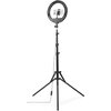 HAMA LED Лампа "SpotLight Steady 120 III"