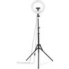 HAMA LED Лампа "SpotLight Steady 120 III"