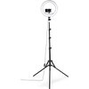 HAMA LED Лампа "SpotLight Steady 120 III"