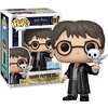 Фигурка Funko Pop!& Buddy: Harry Potter - Harry Potter with Hedwig (Special Edition) #197