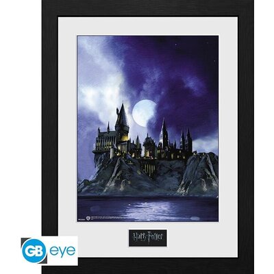 GBEYE HARRY POTTER - Framed print "Hogwarts Painted" (30x40)