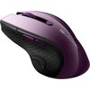 CANYON 2.4Ghz wireless mouse, optical tracking - blue LED, 6 buttons, DPI 1000/1200/1600, Purple pearl glossy