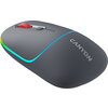 CANYON MW-22, 2 in 1 Wireless optical mouse with 4 buttons, DPI 800/1200/1600, 2 mode(BT/ 2.4GHz), 650mAh Li-poly battery, RGB b