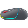 CANYON MW-22, 2 in 1 Wireless optical mouse with 4 buttons, DPI 800/1200/1600, 2 mode(BT/ 2.4GHz), 650mAh Li-poly battery, RGB b