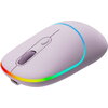 CANYON MW-22, 2 in 1 Wireless optical mouse with 4 buttons, DPI 800/1200/1600, 2 mode(BT/ 2.4GHz), 650mAh Li-poly battery, RGB b