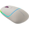 CANYON MW-22, 2 in 1 Wireless optical mouse with 4 buttons, DPI 800/1200/1600, 2 mode(BT/ 2.4GHz), 650mAh Li-poly battery, RGB b