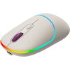 CANYON MW-22, 2 in 1 Wireless optical mouse with 4 buttons, DPI 800/1200/1600, 2 mode(BT/ 2.4GHz), 650mAh Li-poly battery, RGB b