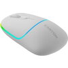 CANYON MW-22, 2 in 1 Wireless optical mouse with 4 buttons, DPI 800/1200/1600, 2 mode(BT/ 2.4GHz), 650mAh Li-poly battery, RGB b