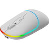 CANYON MW-22, 2 in 1 Wireless optical mouse with 4 buttons, DPI 800/1200/1600, 2 mode(BT/ 2.4GHz), 650mAh Li-poly battery, RGB b