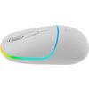 CANYON MW-22, 2 in 1 Wireless optical mouse with 4 buttons, DPI 800/1200/1600, 2 mode(BT/ 2.4GHz), 650mAh Li-poly battery, RGB b