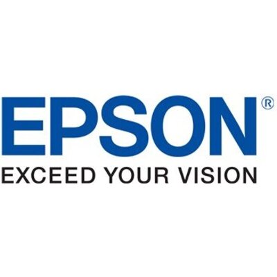EPSON C13S015384 Printer stripe Epson black   DFX-9000