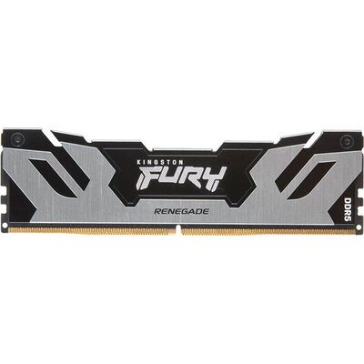 KINGSTON FURY Renegade Silver XMP 32GB DDR5-6000