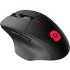 CANYON mouse Crusader GMW-13 RGB 7buttons Wireless Black